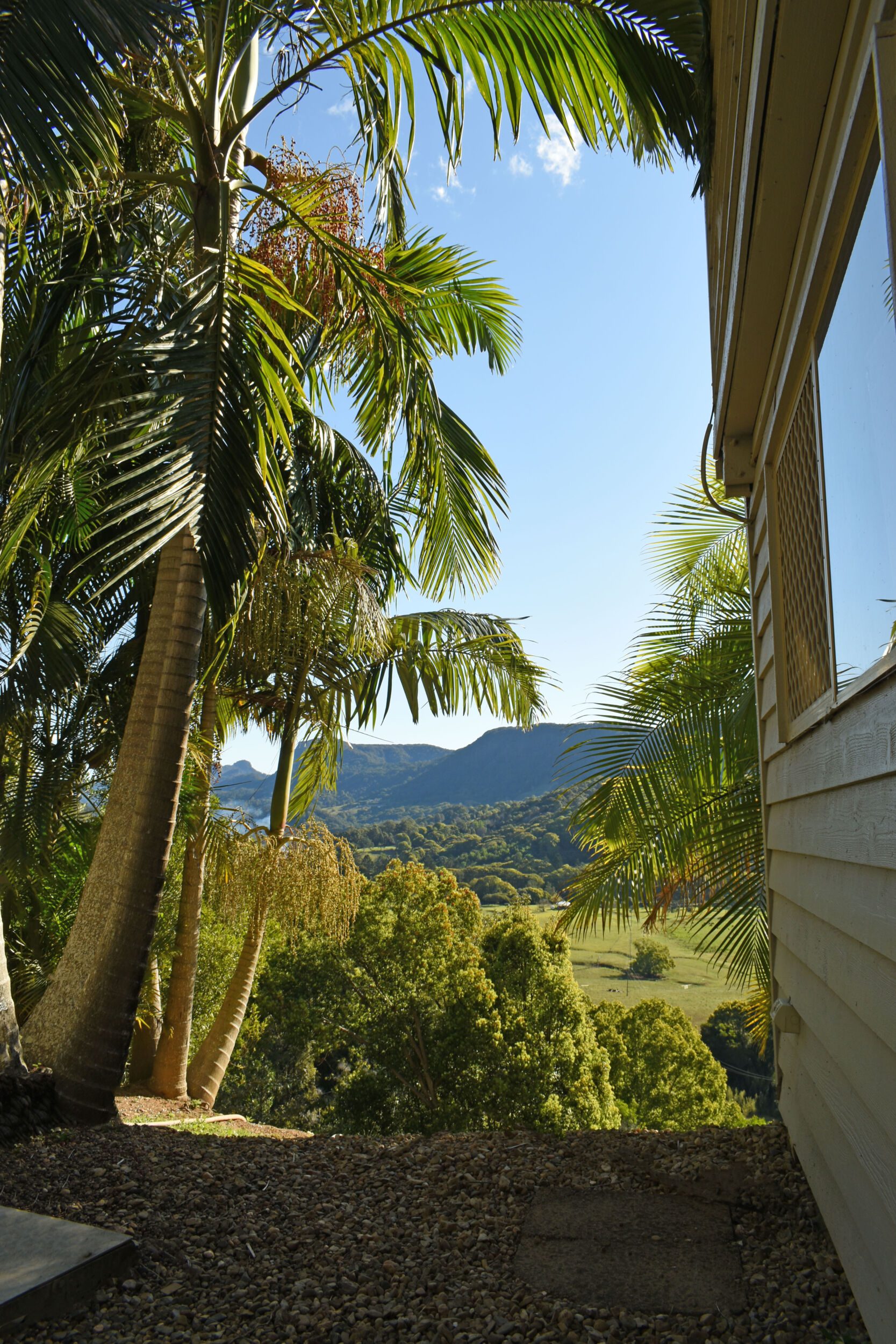 The Valley pilates studio is nestled amongst the trees with views of the Currumbin Valley.